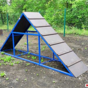 Площадка для выгула собак